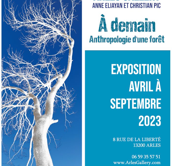 Exposition À demain – Anthropologie d’une forêt