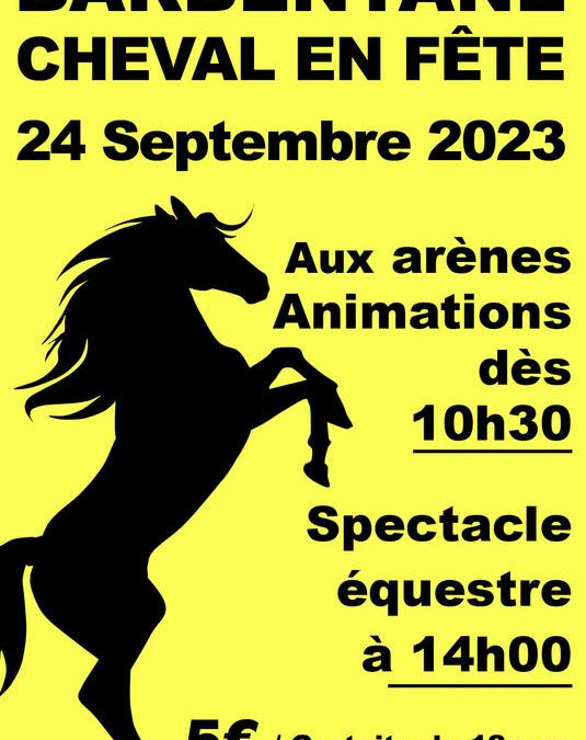 Cheval en fête