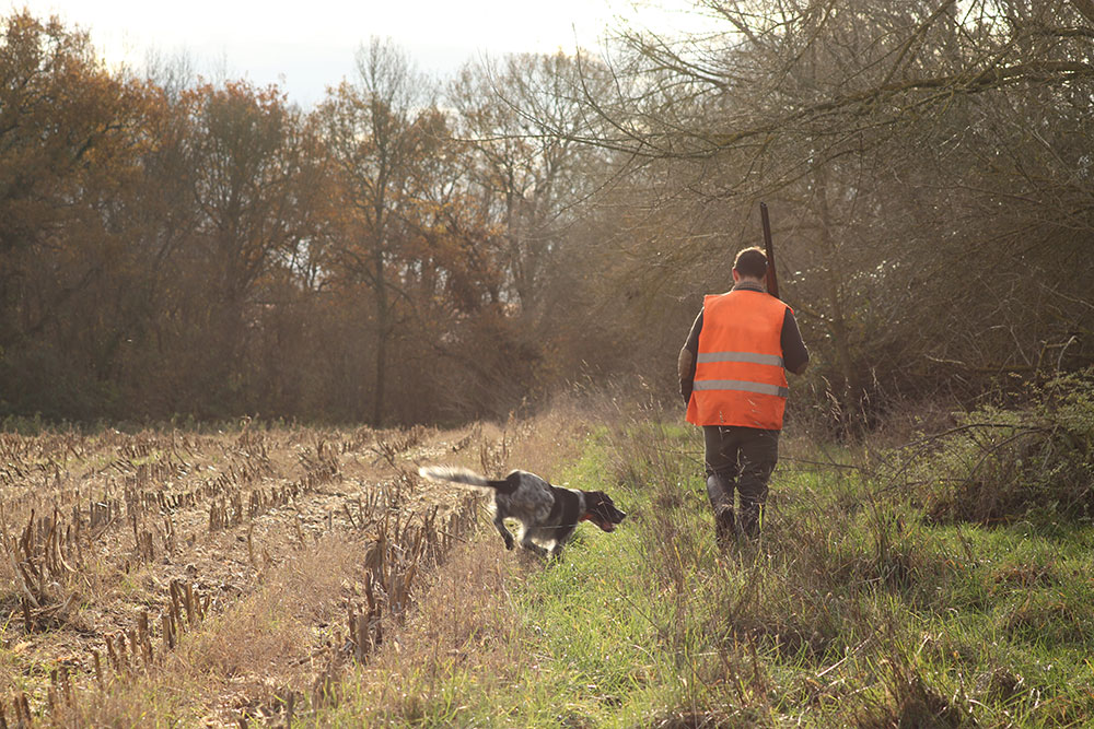 Ouverture de la chasse communale 2023