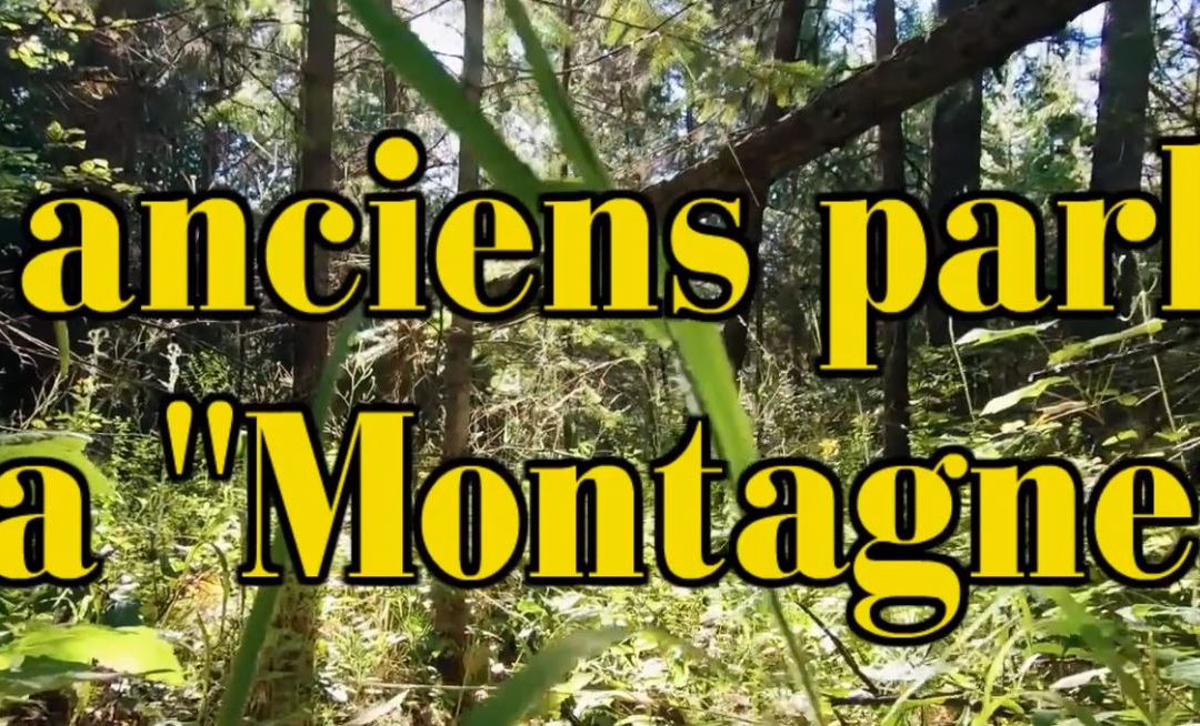 Les résidents de La Raphaële parlent de la Montagnette