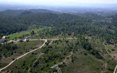 Découvrir la biodiversité du massif de la Montagnette