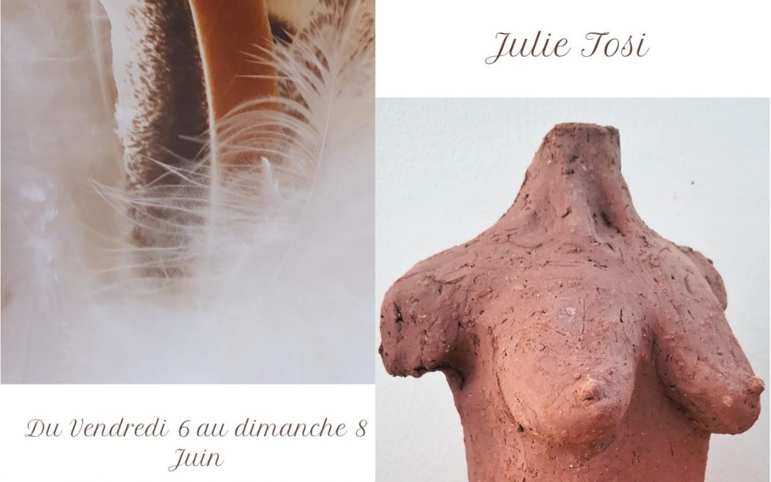 Exposition Julie Tosi