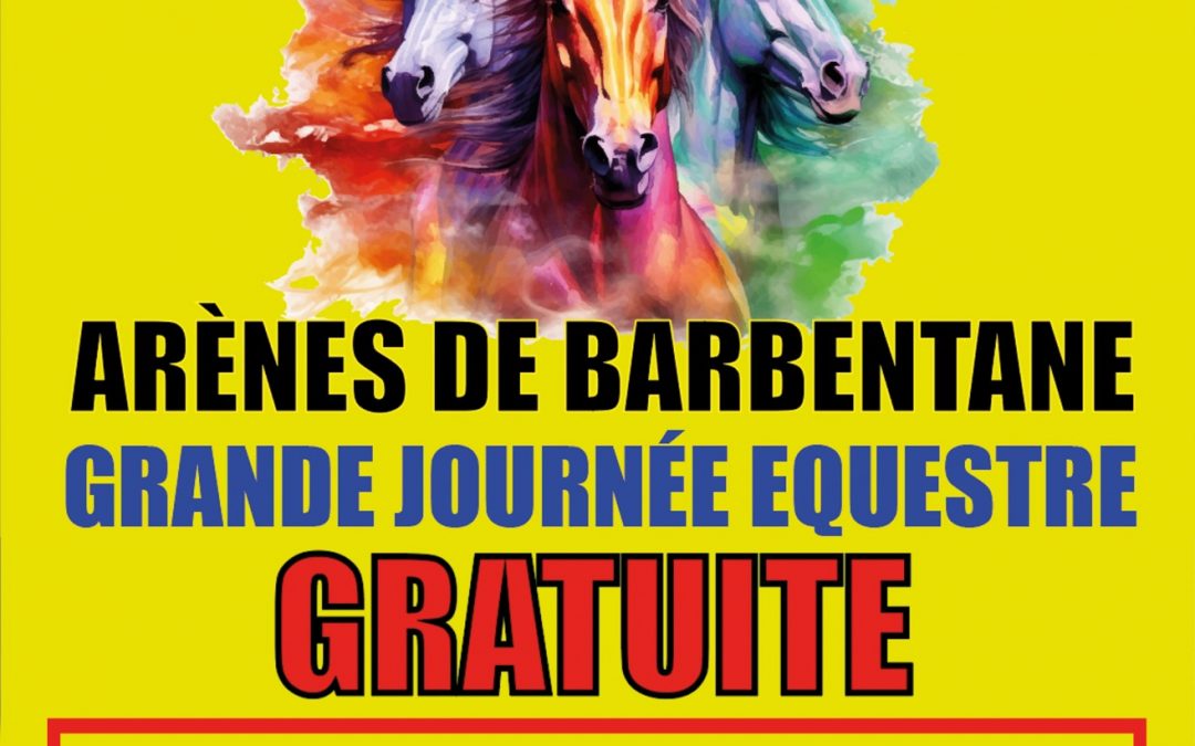 Cheval en fête