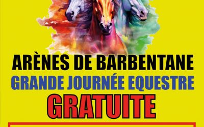 Cheval en fête