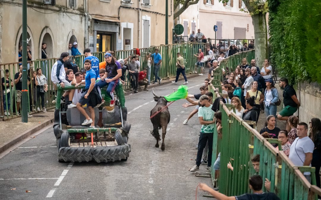 Fête Votive : Stationnements et circulations