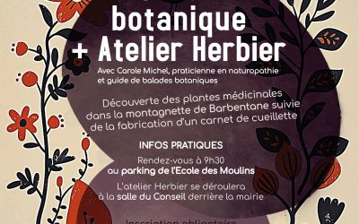 Sortie botanique