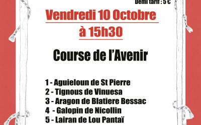 Course camarguaise