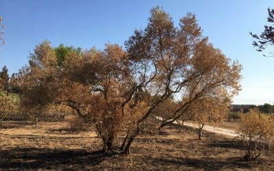 EXPOSITION Paysans Biodirect