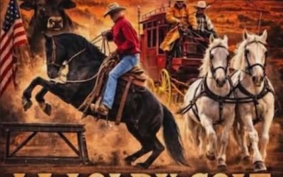Bull Horse Show