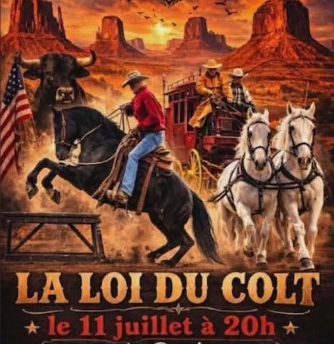 Bull Horse Show