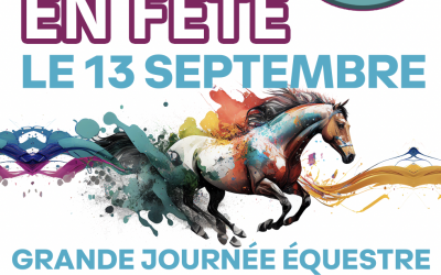 Cheval en fête